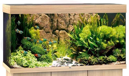 Juwel, Juwel Aquarium Rio 350, 121x51x66cm,hell, Juwel Aquarium Rio 350, 121x51x66cm,hell