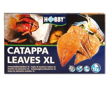 Hobby, HOBBY Catappa Leaves XL 12Stück, 