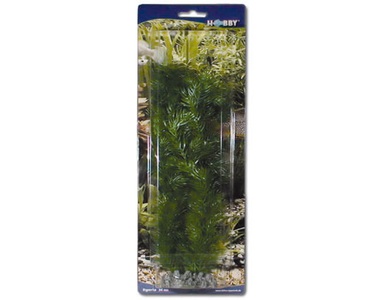 Hobby, HOBBY Egeria 34 cm, 