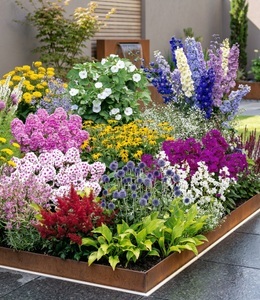undefined, Buntes Staudenbeet ´Multi-Colour´ (12 Pflanzen), 12er Buntes Staudenbeet 'Multi-Colour'
