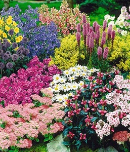 undefined, Staudenbeet ´Gartenfreude´ für 5-6m² (15 Pflanzen), Staudenbeet 'Gartenfreude' für 5-6m²
