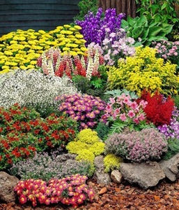 undefined, Großer Staudengarten (14 Pflanzen), 