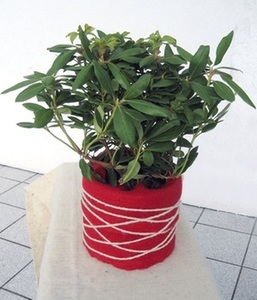 undefined, Winterschutzmatte aus Schafwolle ´rot´ 200x20 cm (200 x 20 cm), Winterschutzmatte aus Schafwolle 'rot' 200x20 cm