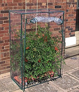 undefined, Tomaten-Gewächshaus 100x50x150 cm (1 Stück), Tomaten-Gewächshaus 100x50x150 cm