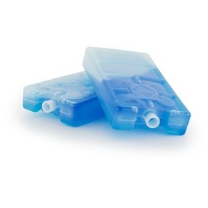 Campingaz, Campingaz - Kühlakku FreezPack Gr 2 x 200 g blau, 