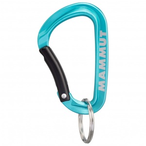 Mammut, Mammut - Mammut Mini Carabiner Classic - Materialkarabiner Gr Small türkis