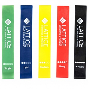 Lattice, Lattice - Resistance Loop Bands - Trainingsgerät bunt