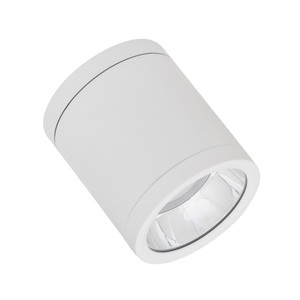 Ledvance LED Downlight Surface IP65 Aluminium Weiß 15W 1650lm 60D - 840 Kaltweiß | IP65