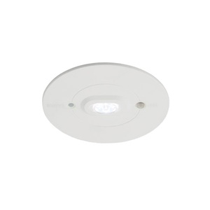 Ansell LED Emergency Light Raven Escape Route White 3W 111lm 142x49D - 765 Daylight | 110mm - IP65 - Emergency 3H - Self Test
