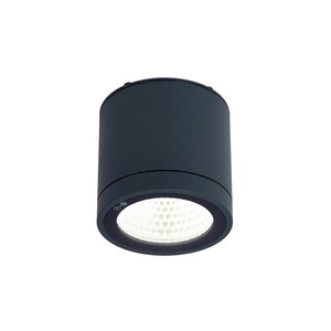 Ansell LED Deckenstrahler Furia Anthrazit 10W 719lm - 830 | 100mm - IP55
