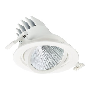 undefined, Philips LuxSpace Accent Performance LED Spot RS781B 31.5W 830 3900lm - Warm White, Philips LED-Spot LuxSpace Accent Performance RS781B 31.5W 3900lm 36D - 830 Warmweiß | 170mm