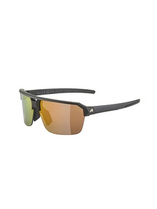 Alpina, ALPINA Herren Radbrille Swift HR schwarz