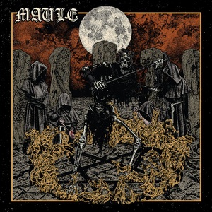 Maule, Maule Maule CD Standard, Maule