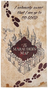 HARRY POTTER, Harry Potter Karte des Rumtreibers Badetuch allover, 
