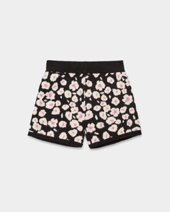 UGG, UGG Shorts »Shaina Short«, 