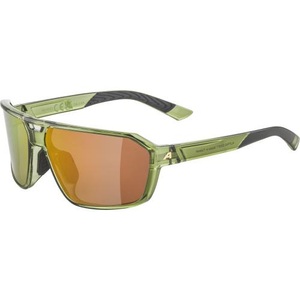 Alpina, Alpina Swift Sportbrille