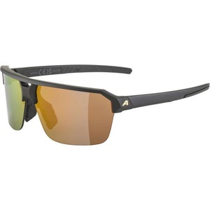 Alpina, ALPINA Herren Radbrille Swift HR schwarz