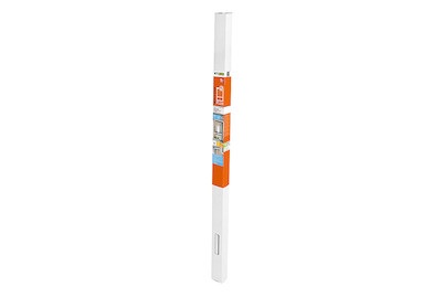 Windhager, WINDHAGER Fliegengitter Rollo PLUS FENSTER, Windhager Fliegengitter Rollo Fenster Aluminium | 160 × 160 cm