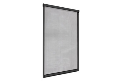 Windhager, WINDHAGER Fliegengitter Rollo PLUS FENSTER, Windhager Insektenschutz Rollo Fenster Anthrazit | 1.6 × 1 m