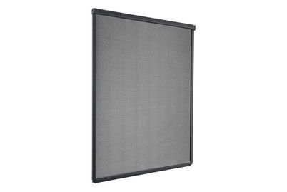 Windhager, WINDHAGER Fliegengitter Rollo PLUS FENSTER, Windhager Insektenschutz Rollo Fenster Anthrazit | 1.6 × 1.3 m