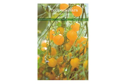 ProSpecieRara, Bio PSR Postkarte TomateGelber Cherry, 