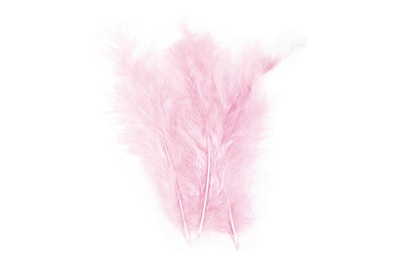 Rayher, Flauschfeder, Flauschfeder, 10-15 cm, SB-Btl. 15 Stück