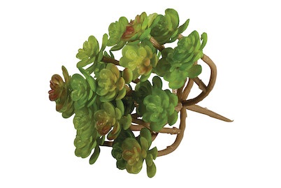 Rayher, Sukkulente Sedum, 9,5x8cm, Sukkulente Sedum Kunststoff
