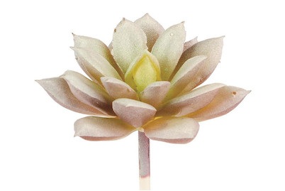 GLOREX, Echeveria 8cm, Glorex Echeveria Kunstpflanze | 8 cm