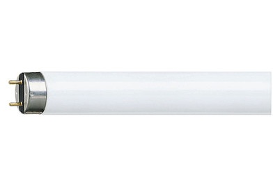 Philips, G13 T8 38W Leuchtstofflampe MASTER TL-D Super 840, Philips MASTER TL - D Super 80 38W - 840 Kaltweiß | 105cm