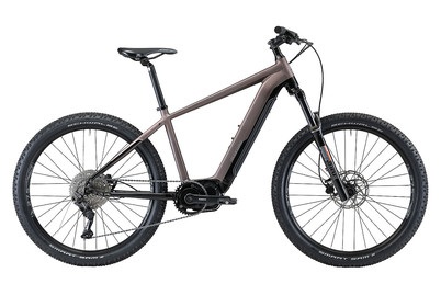Allegro, ALLEGRO E-Bike »Pro AXM°04«, Mittelmotor 250 W, ALLEGRO E-Bike »Pro AXM°04«, Mittelmotor 250 W