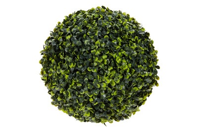Buxus Kugel Gruen D28Cm
