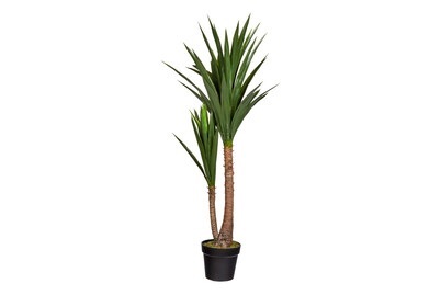 undefined, Yucca in Topf, Mica Künstliche Yucca im Topf Grün | 60 × 120 cm