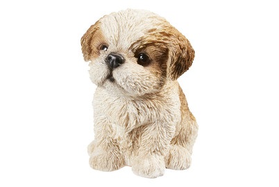 Vivid, Vivid Shih-Tzu Welpe, Braun, Vivid Shih-Tzu Welpe Braun | 17.2 × 12 × 15.7 cm