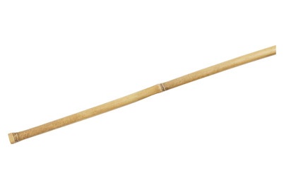 undefined, Pflanzenstab BAMBUS, Pflanzenstab Bambus | 240 cm