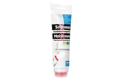 SCHIMMEL X, SCHIMMEL X Schimmel+Ausbesserungsfarbe Weiss, Schimmel-Ausbesserungsfarbe Weiss | 0.25 l