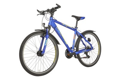 Raleigh, RALEIGH Kidsbike DIRTMAX 26