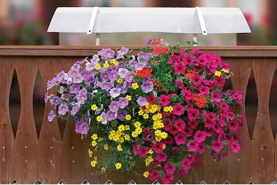 Weitere, Neoflor Schutzdach 70-100 cm, Neoflor-Balconia Schutzdach für Kistli | 100 × 35 cm
