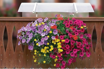 Weitere, Neoflor Schutzdach 70-100 cm, Neoflor-Balconia Schutzdach für Kistli | 100 × 35 cm