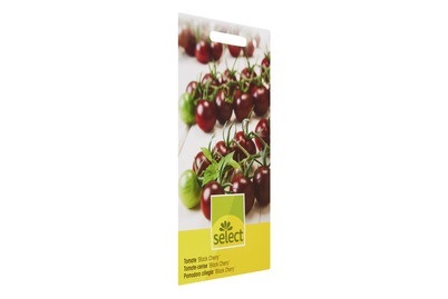 Select, SELECT Tomaten BLACK CHERRY, Select Black Cherry Tomate | Saatgut