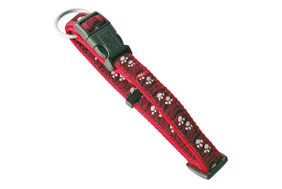 swisspet, swisspet DoggyLine Halsband rot 20/35-50, Halsband rot 20 mm/35-50 cm