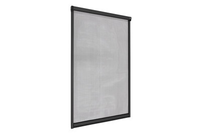 Windhager, WINDHAGER Fliegengitter Rollo PLUS FENSTER, Windhager Insektenschutz Rollo Fenster Anthrazit | 1.6 × 1 m