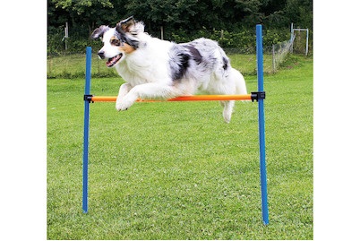 swisspet, swisspet Agility Hürden Set inkl.1 Stab à 110cm, 