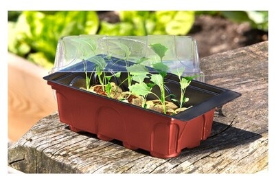 Windhager, WINDHAGER MINI-GEWÄCHSHAUS, Windhager Zimmer-Treibhaus mit 8 Quelltabs | 19 × 11 × 6 cm