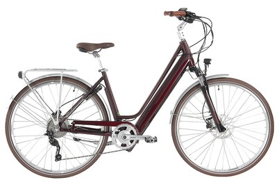 Allegro, Allegro E-Bike Invisible City ACIL°03, 28, 48 cm, blackberry, 