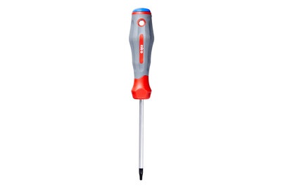 AYCE, AYCE Schraubenzieher, Ayce Schraubenzieher Torx Tx10