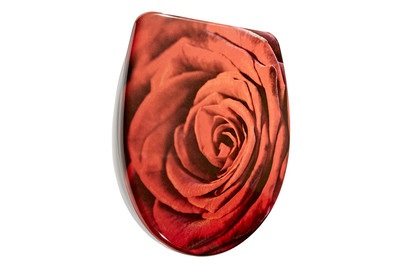 Diaqua, DIAQUA WC SITZ ROSE NICE, diaqua Nice Rose WC-Sitz