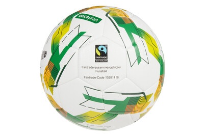 Oecoplan, Oecoplan nachhaltiger Fussball