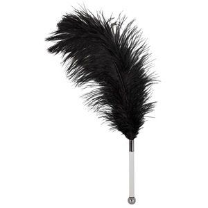 Bad Kitty, Feder schwarz Acryl, Bad Kitty Federstab
