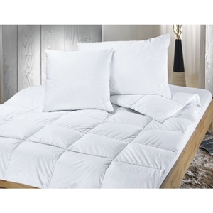 Billerbeck, billerbeck - Duvet CLIMACONTROL LIGHT - Baumwolle - weiss - 160/240 cm, Billerbeck Daunenduvet Climacontrol Light