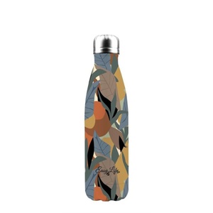 Easy Life, Easy Life Thermosflasche Isolio, Isolierflaschen doppelw. 500ml, Kilimanjaro